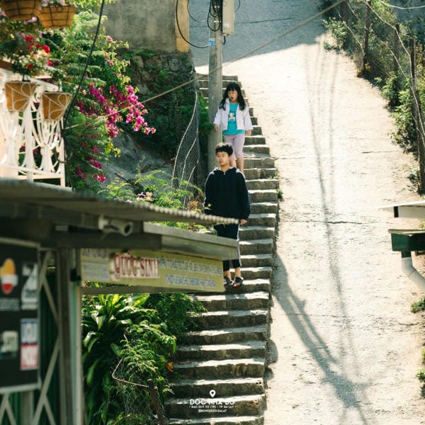 Top 8 điểm check in không thể bỏ lỡ ở thành phố hoa Đà Lạt 27