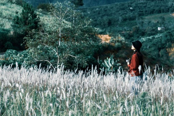 Đà Lạt đẹp bốn mùa hoa 16