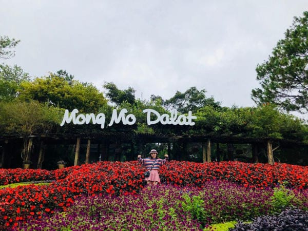 Top 8 điểm check in không thể bỏ lỡ ở thành phố hoa Đà Lạt 7