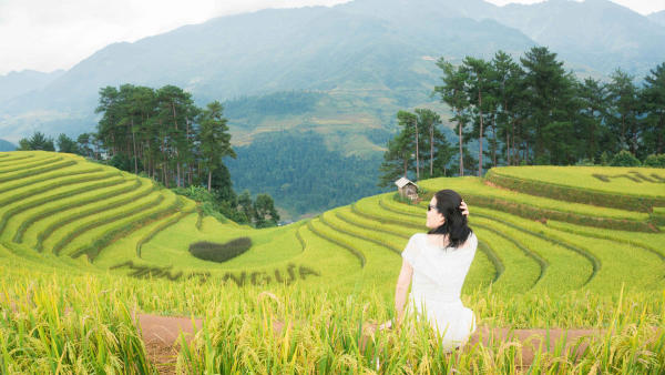 doi mong ngua
