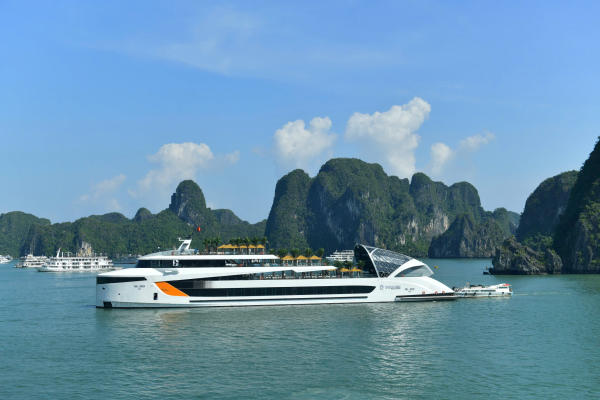 Dolphin Cruise và Luna Halong Cruise
