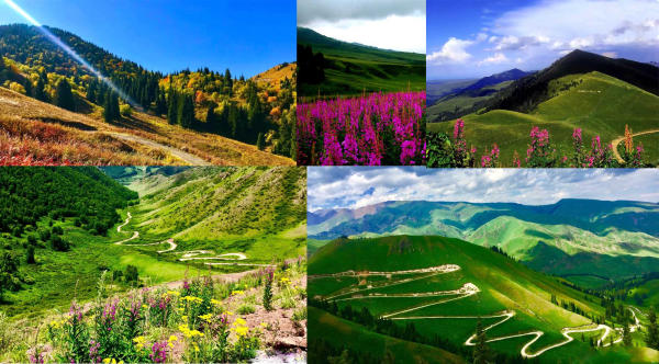 Đồng cỏ Shaersili, Tân Cương