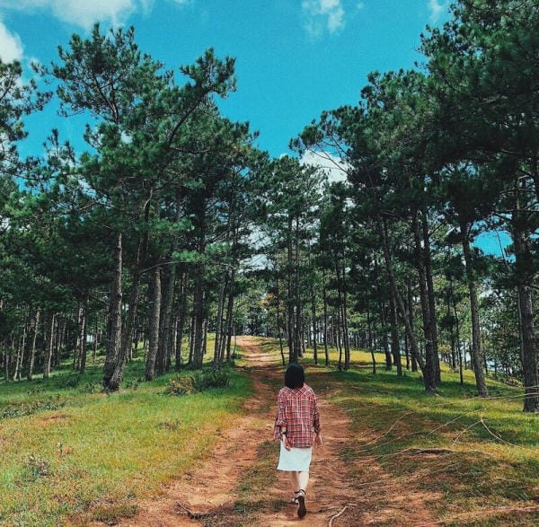 Top 8 điểm check in không thể bỏ lỡ ở thành phố hoa Đà Lạt 9