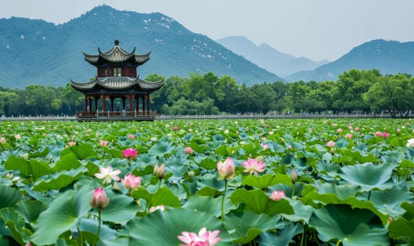 Tây Hồ mùa hạ