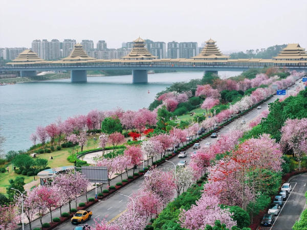 Liễu Châu mùa nào đẹp