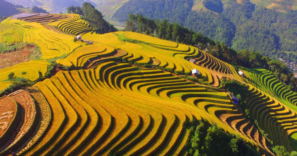 Top 6 điểm đến hàng đầu cho tuần trăng mật ngọt ngào 11 Top 6 điểm đến hàng đầu cho tuần trăng mật ngọt ngào 11