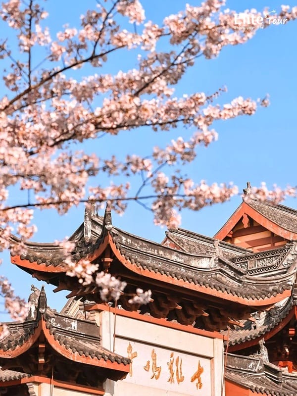 các điểm tham quan ở thành phố Nam Kinh