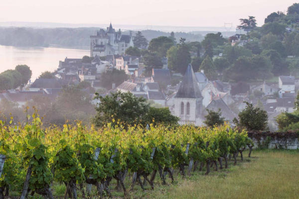 Thung lũng Loire - Địa điểm du lịch nổi tiếng ở Pháp 02 Thung lũng Loire - Địa điểm du lịch nổi tiếng ở Pháp 02