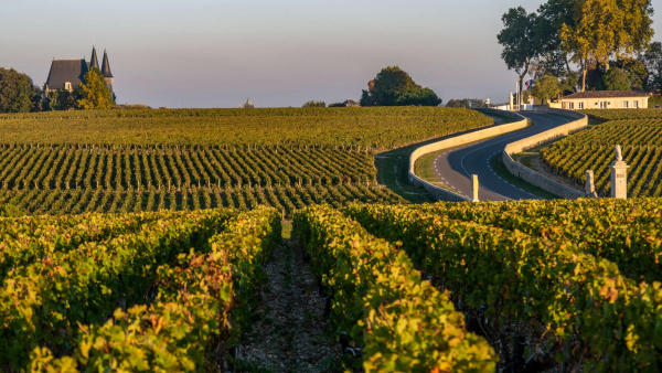 Thánh địa nho Bordeaux - Địa điểm du lịch Pháp nổi tiếng 02