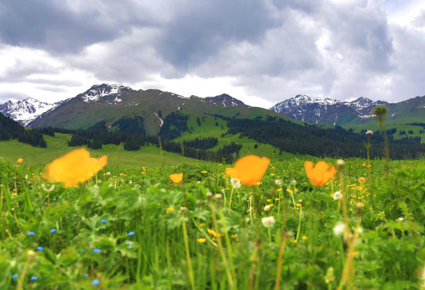 Khu thắng cảnh Keketuohai, Tân Cương, Trung Quốc Khu thắng cảnh Keketuohai, Tân Cương, Trung Quốc