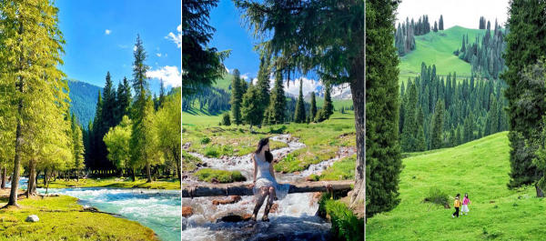 Đồng cỏ Nalati, Tân Cương, Trung Quốc Đồng cỏ Nalati, Tân Cương, Trung Quốc