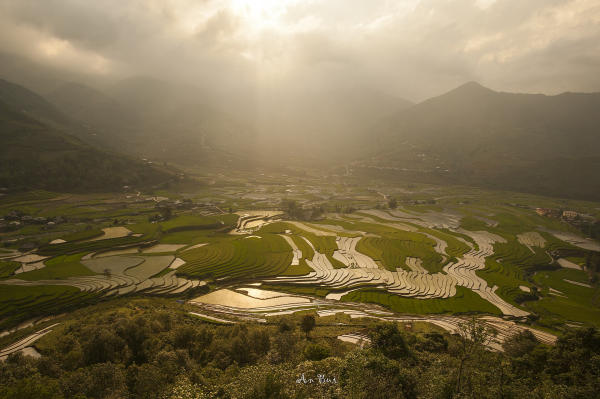 mù cang chải trạm tấu