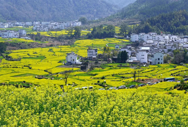 Vụ Nguyên, Giang Tô