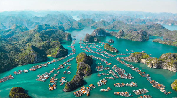 Nên chọn đi tàu Hạ Long hay Lan Hạ