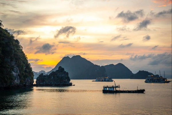 Lịch trình du thuyền Alisa Premire Cruise 01 Lịch trình du thuyền Alisa Premire Cruise 01