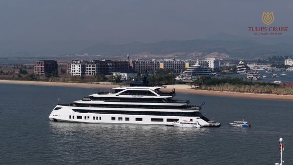 Du thuyền mới vịnh Lan Hạ Tulip Cruise