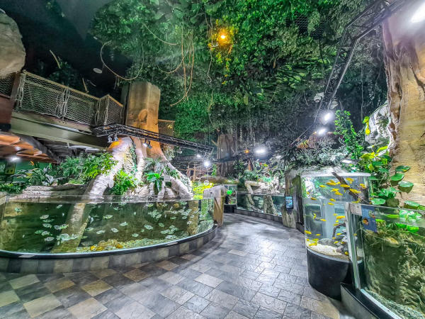 Địa điểm du lịch Dubai nổi tiếng 01 Địa điểm du lịch Dubai nổi tiếng 01