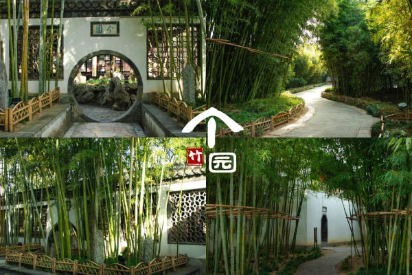Cá Viên - Dương Châu