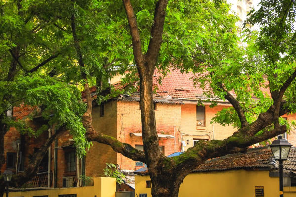 Đường Di Hoà - Nam Kinh