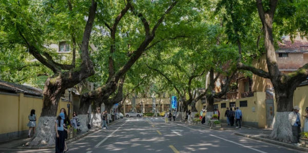 Đường Di Hoà Nam Kinh