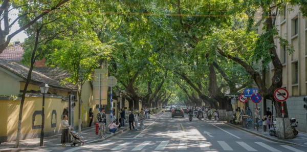 Cảnh quan đường phố Di Hoà Lộ