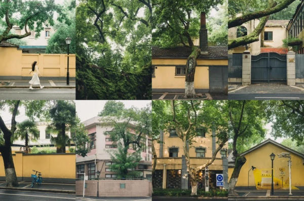 Đường Di Hoà ở Nam Kinh có gì