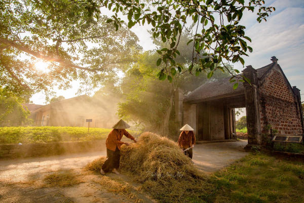 Làng cổ Đường Lâm Làng cổ Đường Lâm