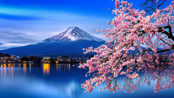 Địa điểm du lịch nổi tiếng ở Tokyo Nhật Bản Địa điểm du lịch nổi tiếng ở Tokyo Nhật Bản