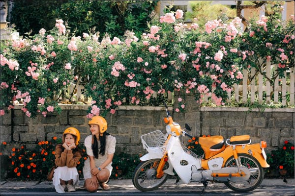 Top 8 điểm check in không thể bỏ lỡ ở thành phố hoa Đà Lạt 21