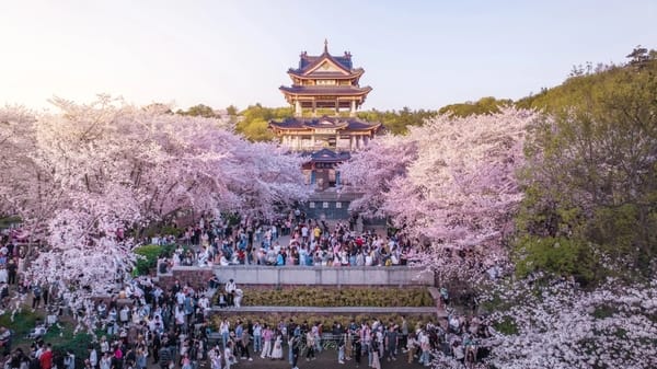 Mùa xuân Giang Nam