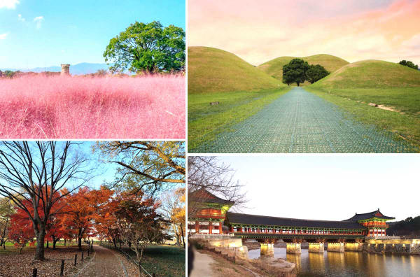 Gyeongju - Địa điểm du lịch mùa thu Hàn Quốc nổi tiếng Gyeongju - Địa điểm du lịch mùa thu Hàn Quốc nổi tiếng