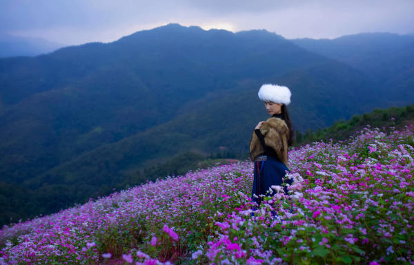 Tour Hà Nội – Hà Giang - Nho Quế 3 Ngày 2 Đêm Tour Hà Nội – Hà Giang - Nho Quế 3 Ngày 2 Đêm