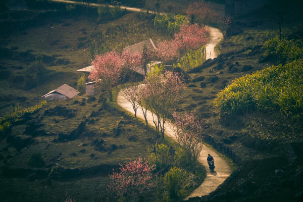 Du lịch Hà Giang tháng 1 có gì Du lịch Hà Giang tháng 1 có gì