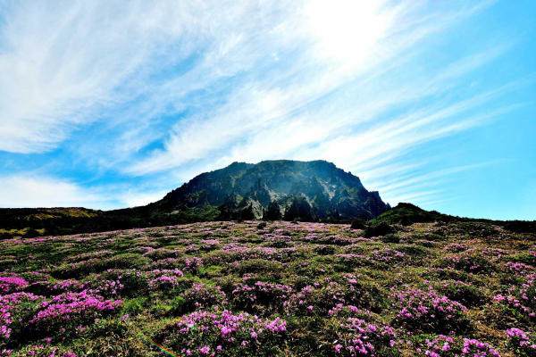 Đảo Jeju 01 Đảo Jeju 01