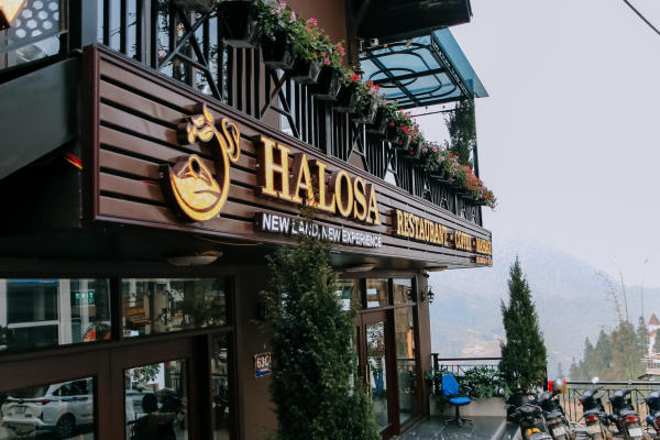 Halosa Spa - Lounge & Cafe - Restaurant Halosa Spa - Lounge & Cafe - Restaurant