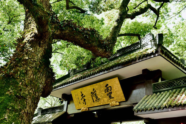 Chùa Linh Ẩn – Hàng Châu Chùa Linh Ẩn – Hàng Châu