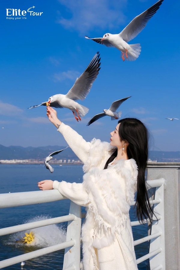 hồ Điền Trì Côn Minh