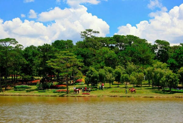 Top 8 điểm check in không thể bỏ lỡ ở thành phố hoa Đà Lạt 8