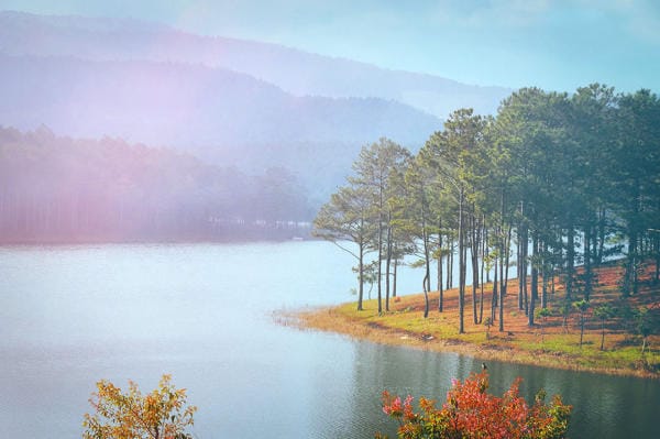 Top 8 điểm check in không thể bỏ lỡ ở thành phố hoa Đà Lạt 16