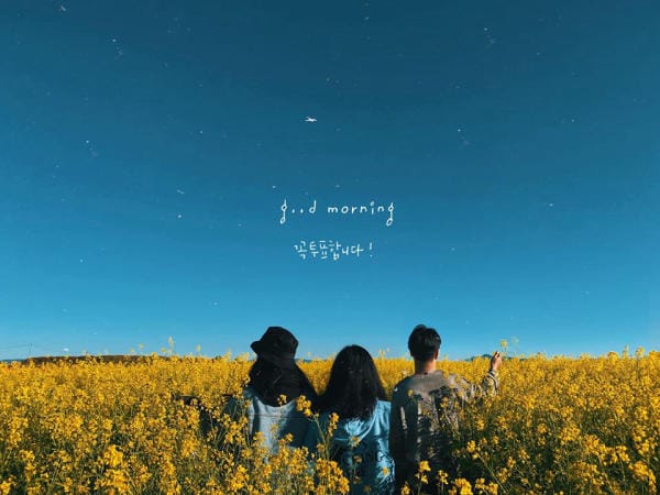 Đà Lạt đẹp bốn mùa hoa 28