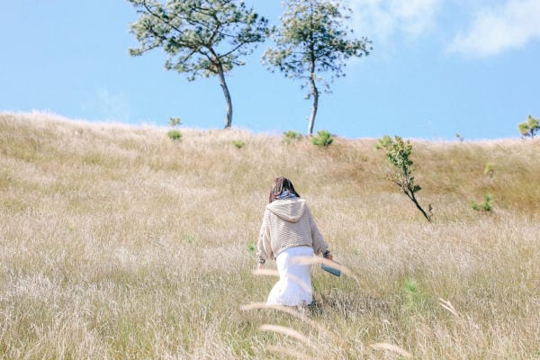 Đà Lạt đẹp bốn mùa hoa 18