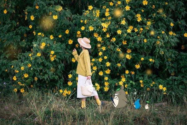 Đà Lạt đẹp bốn mùa hoa 22