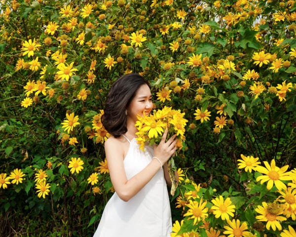 Đà Lạt đẹp bốn mùa hoa 23