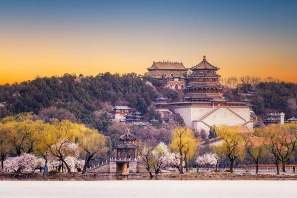 hoa ở Di Hoà Viên