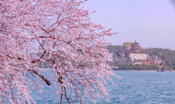 cung điện mùa hè cảnh xuân