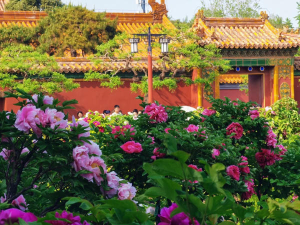 công viên Cảnh Sơn Bắc Kinh