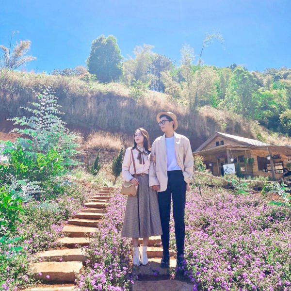 Lavender Túi Thương Nhớ 01 Lavender Túi Thương Nhớ 01