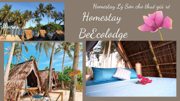 BeEcolodge Homestay Lý Sơn BeEcolodge Homestay Lý Sơn