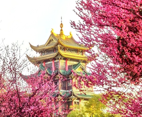 Mùa xuân ở Trùng Khánh