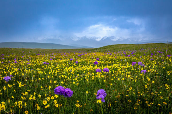 Cảnh đẹp Nội Mông, Trung Quốc 02